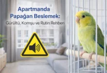 apartmanda papağan beslemek