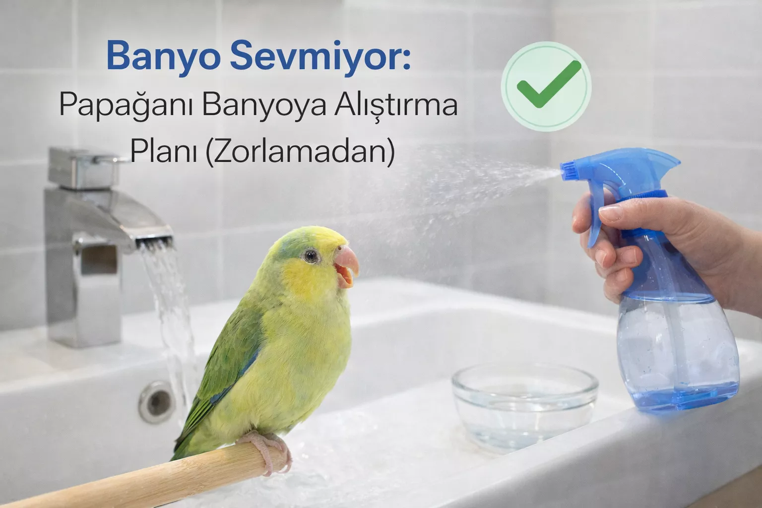 Banyo Sevmiyor: Papağanı Banyoya Alıştırma Planı (Zorlamadan)