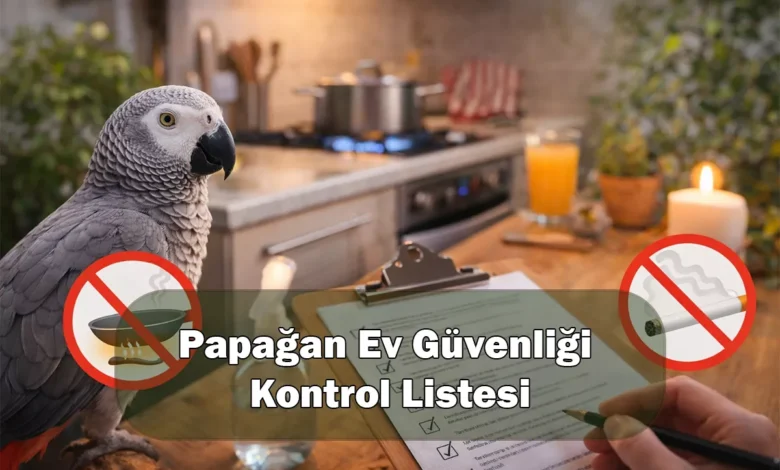Papağan Ev Güvenliği Kontrol Listesi