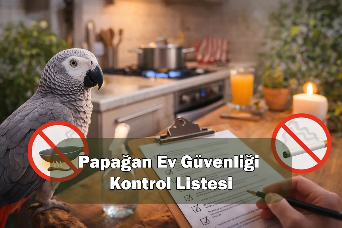 Papağan Ev Güvenliği Kontrol Listesi