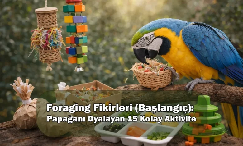 Foraging Fikirleri (Başlangıç): Papağanı Oyalayan 15 Kolay Aktivite Foraging Fikirleri (Başlangıç): Papağanı Oyalayan 15 Kolay Aktivite