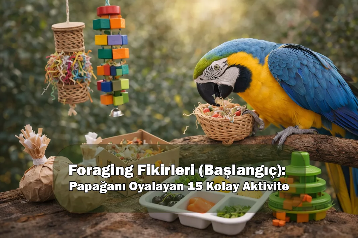 Foraging Fikirleri (Başlangıç): Papağanı Oyalayan 15 Kolay Aktivite