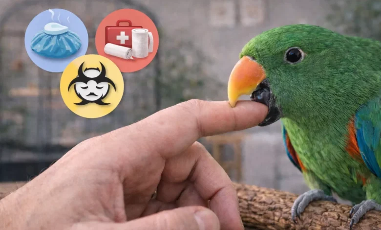 papagan ısırınca ne yapmalı