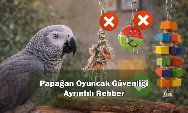 Papağan Oyuncak Güvenliği